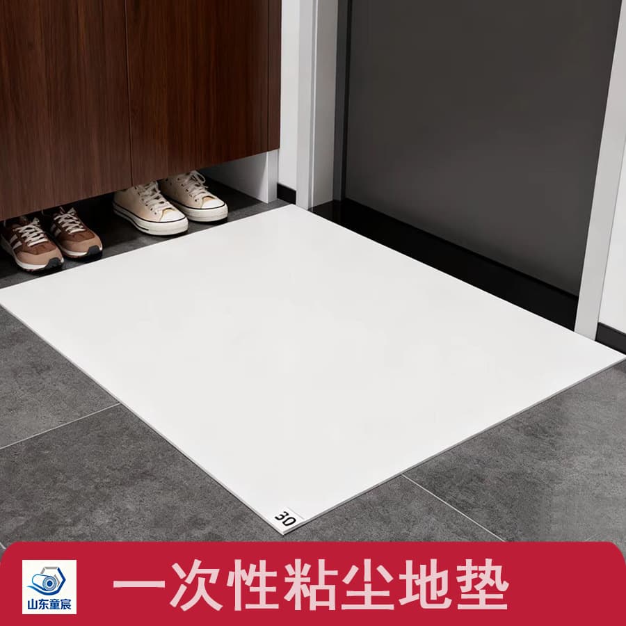 Clean Room Sticky Mat, Air Shower Laboratory Dust Sticky Floor Mat, Anti-Static Disposable Tear-off Foot Mat for Home Use