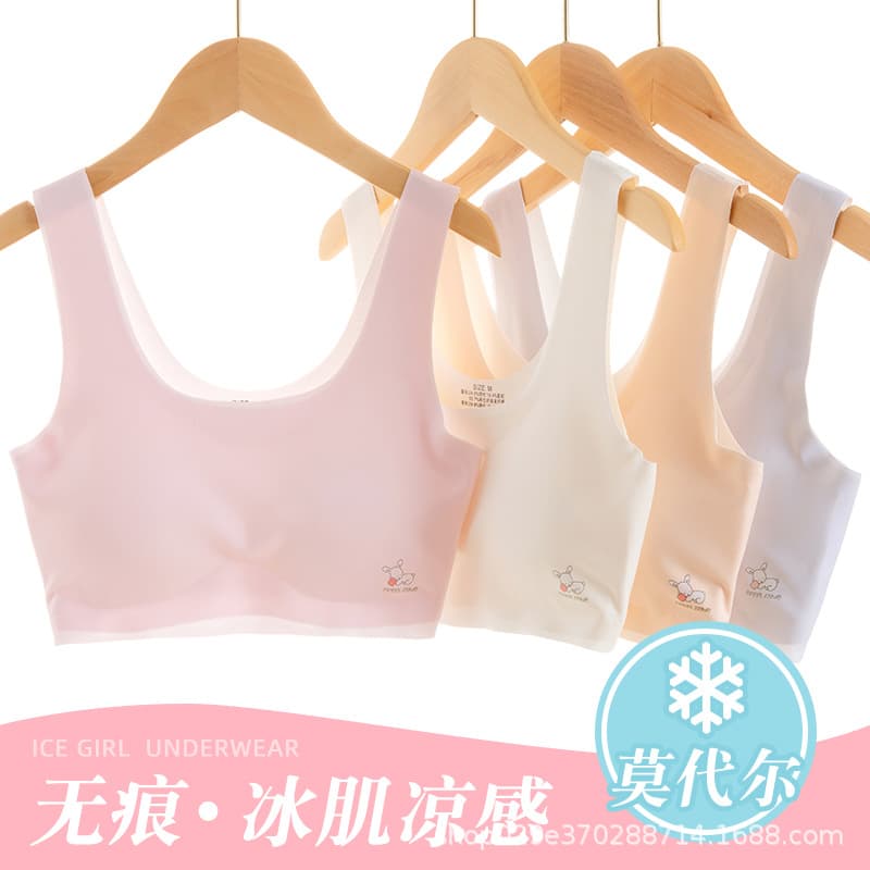 Teenage Girls' Seamless Ice Silk Bra for Development Period, Student Style, Invisible