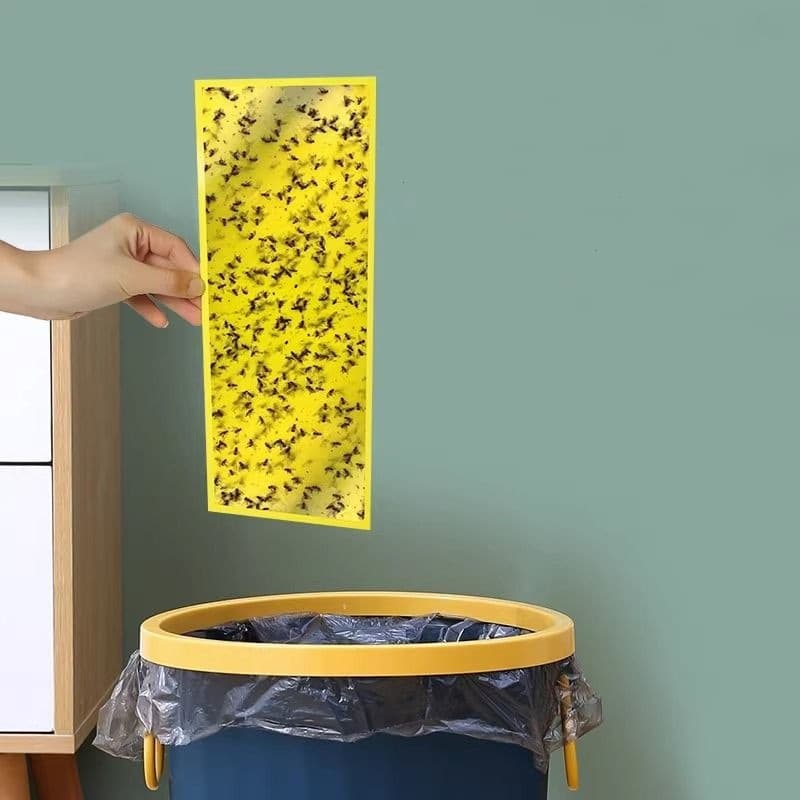 Fly Trap Sticky Board for Bug Zapper Milk Tea Shop Strong Sticky Fly Paper Commercial Mosquito Killer Sticky Board PP Eco-Friendly Material