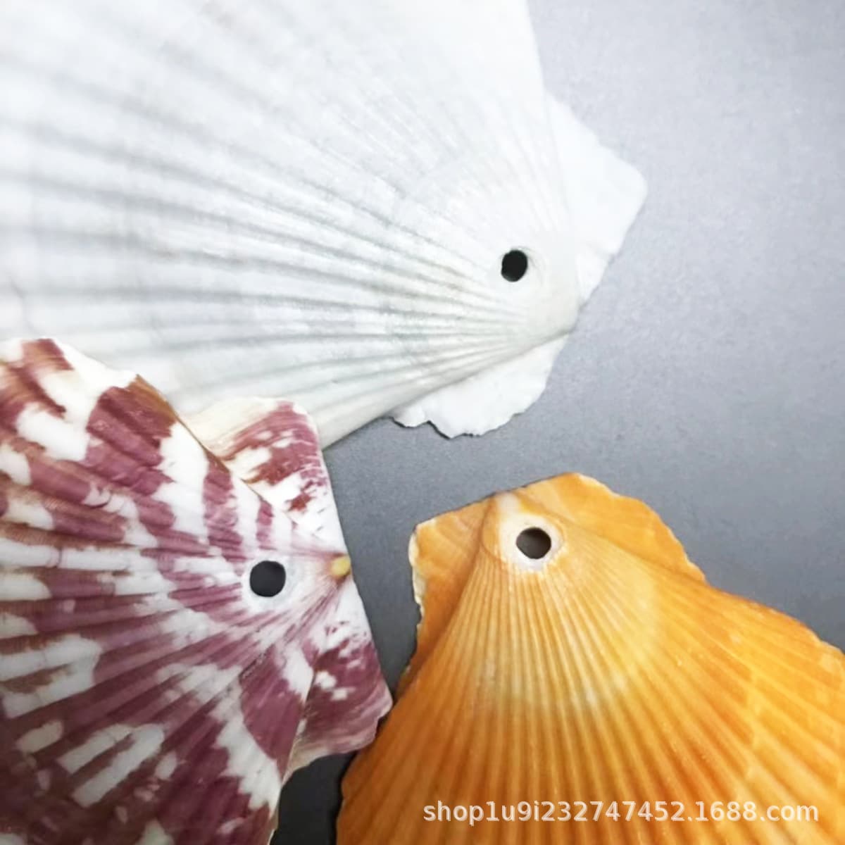 Aibeilai White Shells with Holes, Hemp Rope Shell Christmas Ornaments, Xiayi Shells with Holes, Conch Shells with Holes