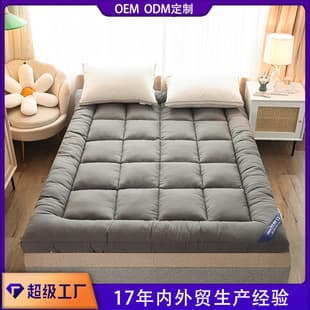 Custom OEM Mattress Down-Filled Mattress Pad, Velvet Dorm Single Soft Bed Topper, Thai Tatami Style