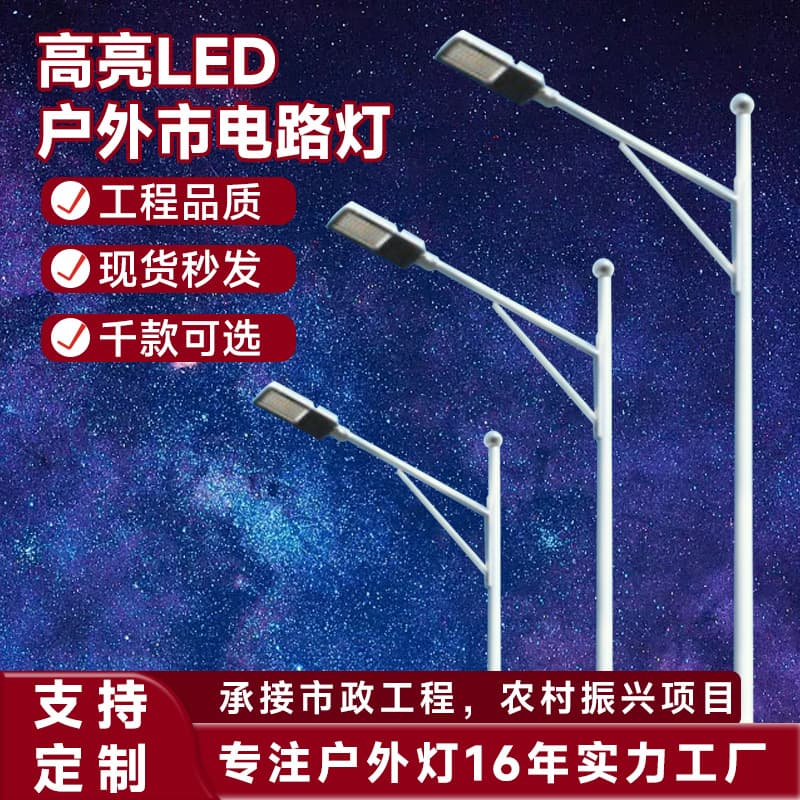 Municipal Circuit Street Light Manufacturer 6m 8m Highway Lighting for Public Works Outdoor LED Street Lamps