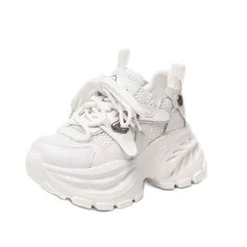 Height-Increasing Dad Sneakers for Women, 2026 Spring/Summer New, Mesh, Breathable, Fashionable, Chunky Sole, Casual Sports Shoes