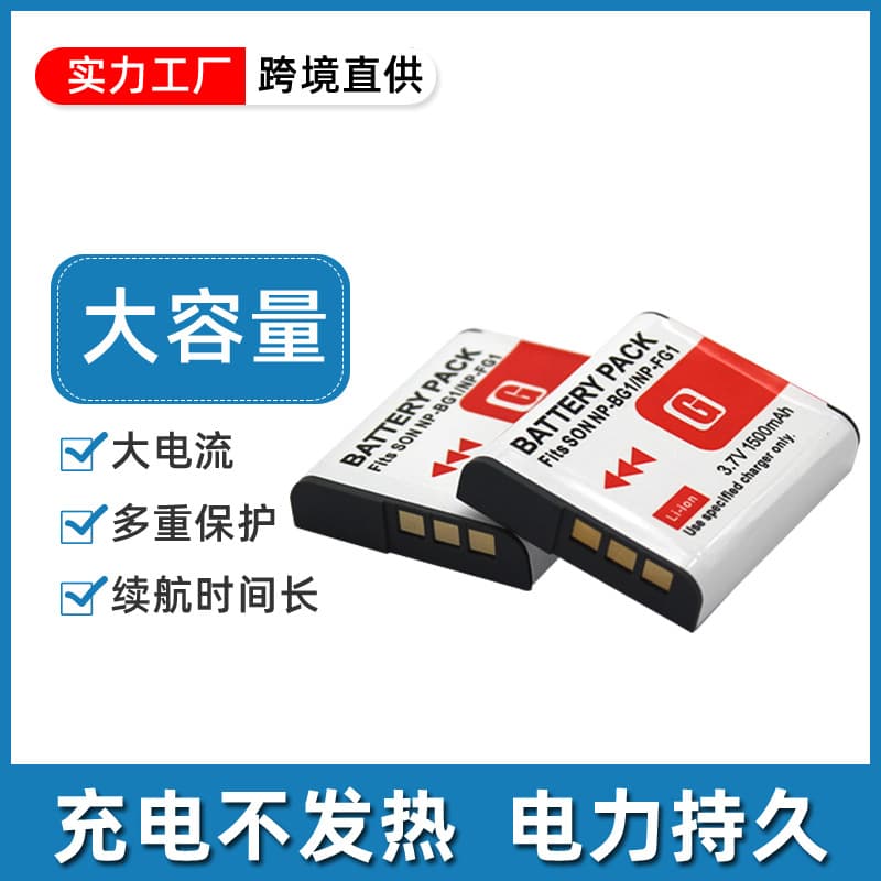 Compatible with Sony T100 H50 W300 W55 W70 W80 NP-BG1 Battery NP-FG1 Battery
