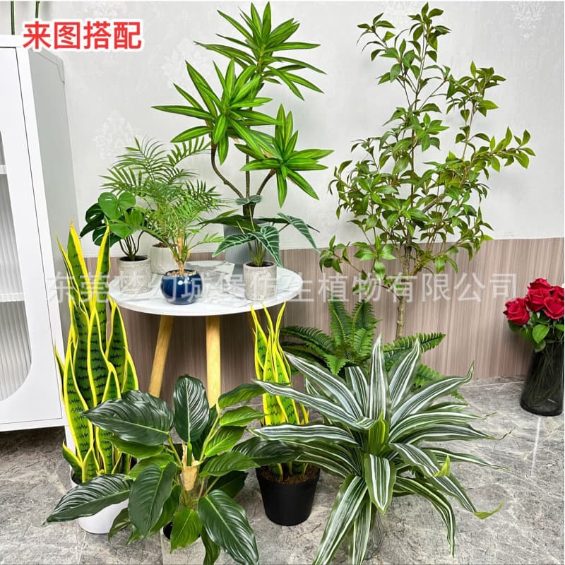 Desktop Bonsai Living Room Decoration Floor-Standing Plastic Artificial Flower Arrangement Simulated Plant Small Turtle Back Plant Artificial Green Plant Small Potted Plant