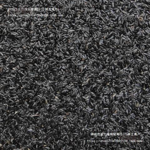 Birds eating black tip grass seeds promote Niger hibiscus breeding bird food, canary jade bird, jade bird, Mai Taibao
