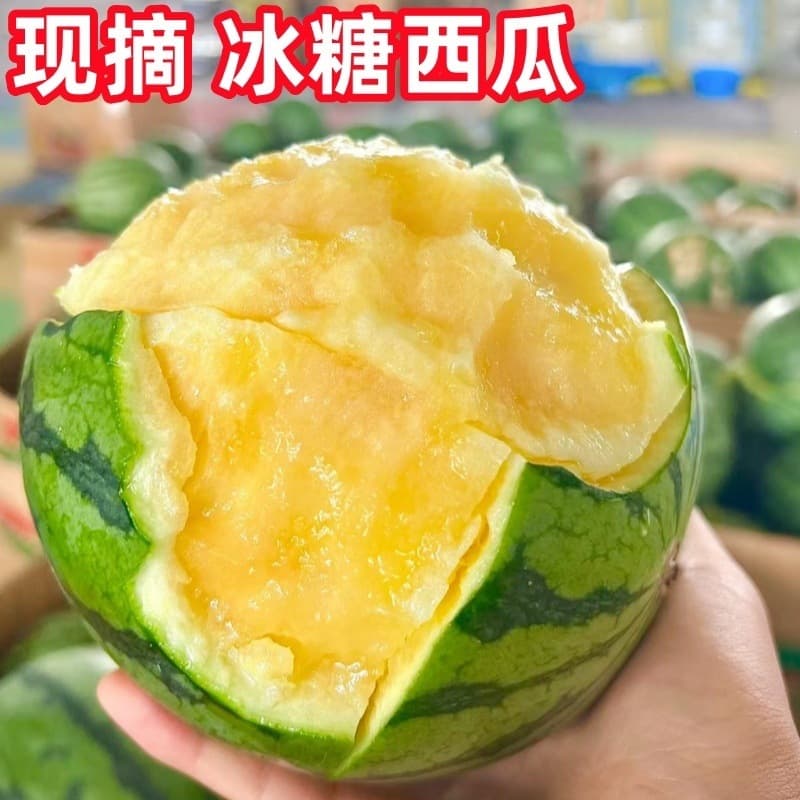 Watermelon Seeds, Bingtang Qilin Seedless Watermelon, Sweet All-Season Watermelon Seedlings, Zaojia 8 Sweet Melon Seeds