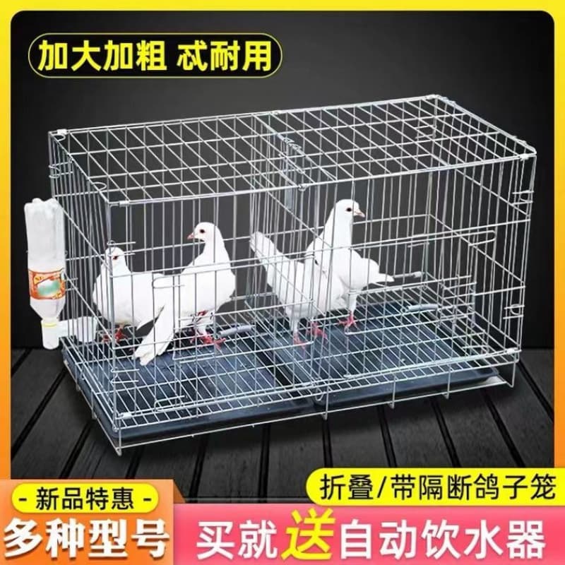 Pigeon Cage Folding Breeding Cage Pigeon Pairing Cage White Pigeon Cage Home Pigeon Supplies Chicken Cage Pigeon Nest Direct Sales