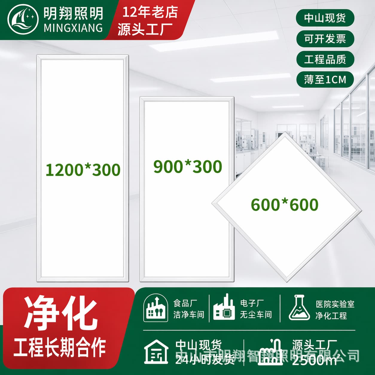 Flat Panel Purification LED Lamp Ultra-Thin 300x1200 Dust-Free Workshop Operating Room Hospital Surface-Mounted 48W Airtight Clean Light