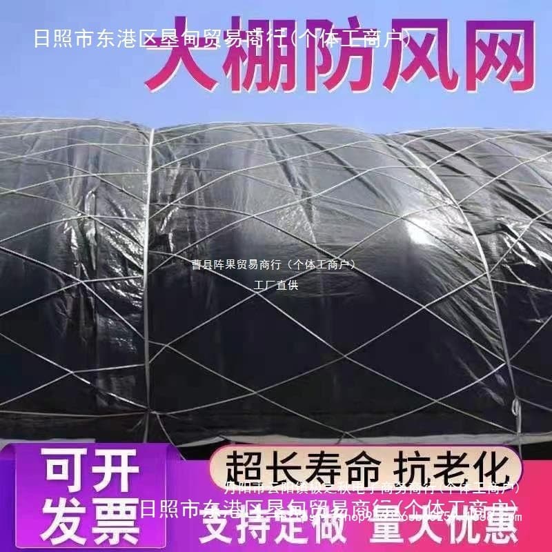 Greenhouse Windproof Net Protective Net Large Hole Film Press Net Truck Cover Net Rope Net Windshield Net Grass Cover Net Fruit Protection Net