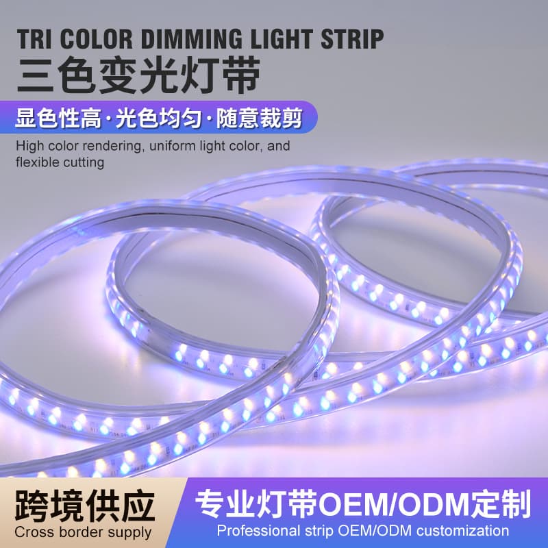 Two-color dimming light with 220V high voltage high brightness outdoor factory waterproof led soft light strip decoration range 3030