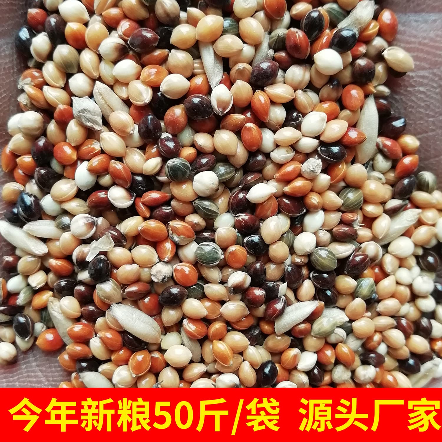 Five-Color Millet Bird Food Mixed Nutritious Grain 50lb/Bag, Finch Food, Small Bird Food, Parrot Food, Millet