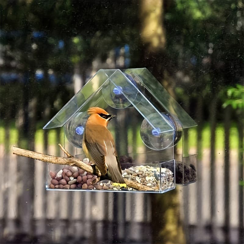 2026 New Cross-Border Dropshipping Acrylic Birdcage Feeder, Transparent Wall-Mounted Design
