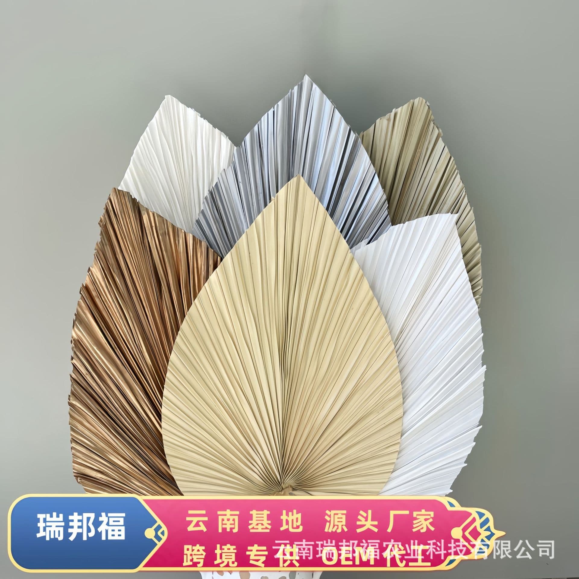 Large Palm Leaf Fan Palm Frond Nordic Style Home Decor Yunnan Manufacturer Wholesale Amazon Hot Seller Wedding Decoration