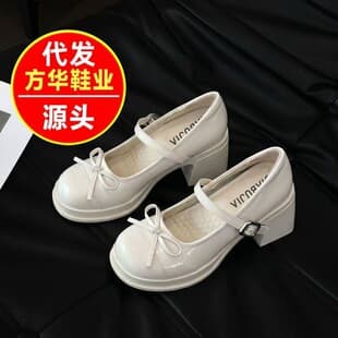 Elegant Bow Mary Jane Shoes for Women Spring Sweet Style Fashion Chunky Heel Comfortable Dress Shoes with Buckle Strap