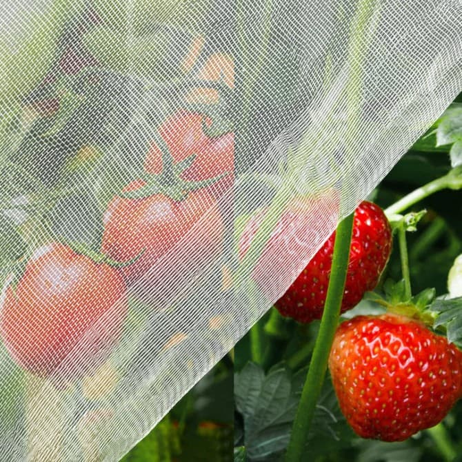 DIY Insect Netting - Dense Mesh for Vegetable and Crop Protection Against Pests