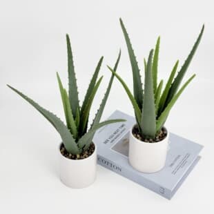 Artificial Plant Aloe Vera Bonsai Home Decoration Ornament Indoor Scene Soft Rubber Aloe Vera Ceramic Potted Plant Factory Wholesale