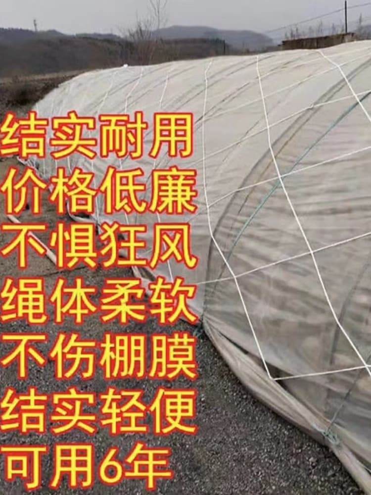 Greenhouse Windproof Net Outdoor Protective Net Anti-Aging Sun-Resistant Agricultural Large Hole Press Film Rope Net Livestock Windshield Net Greenhouse