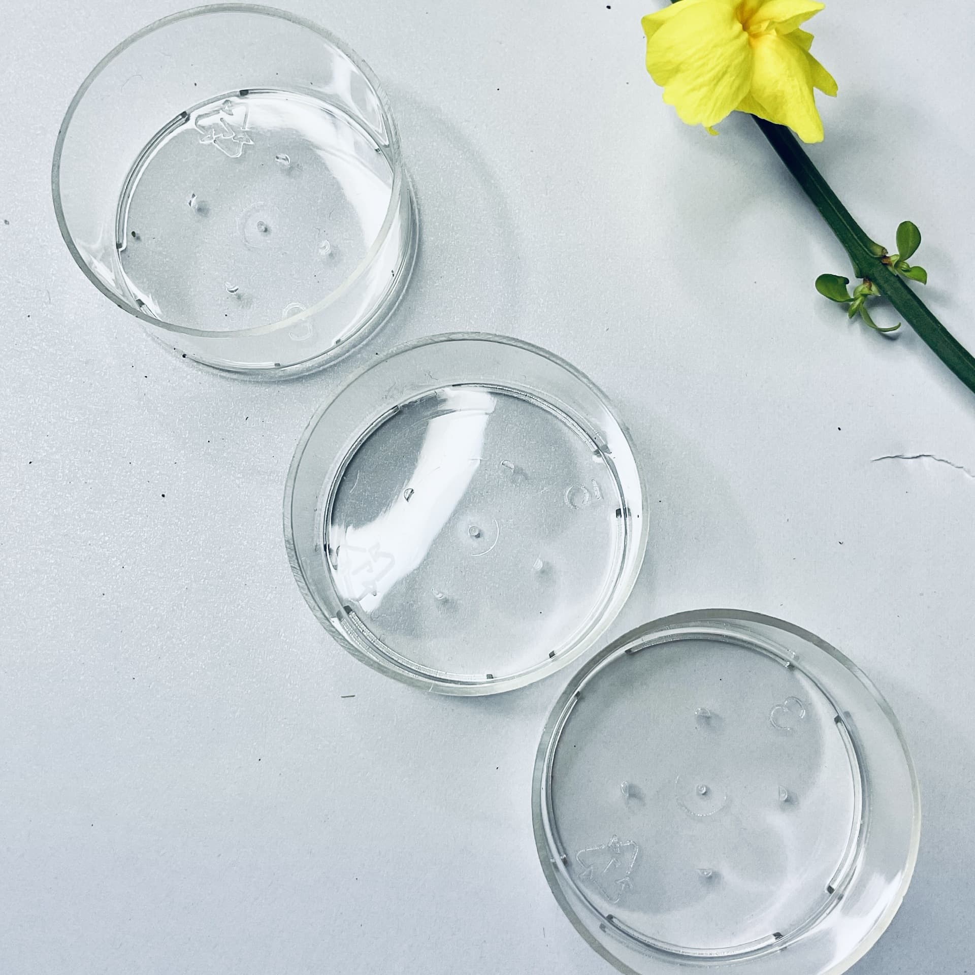 Plastic Cup Wax Filling Cup Tea Light Shell PC Cup Empty Tea Light Cup Tea Light Box Tea Light Cup