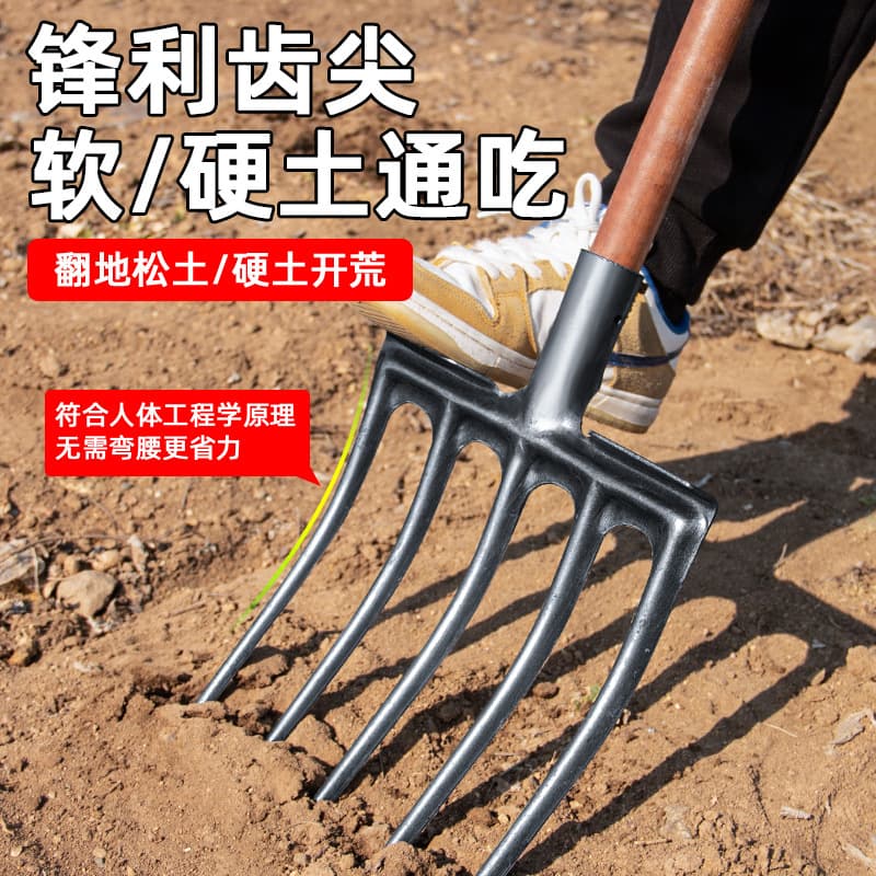 Agricultural earth-turning and loosening artifact, soil-turning steel fork for digging sweet potatoes, four-tooth and five-tooth digging and shoveling agricultural tools