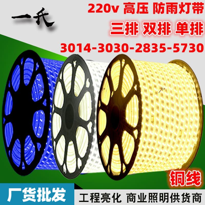 220V High Voltage 2835 Outdoor Waterproof Silicone Neon RGB Multicolor Dual-Color Flexible LED Strip