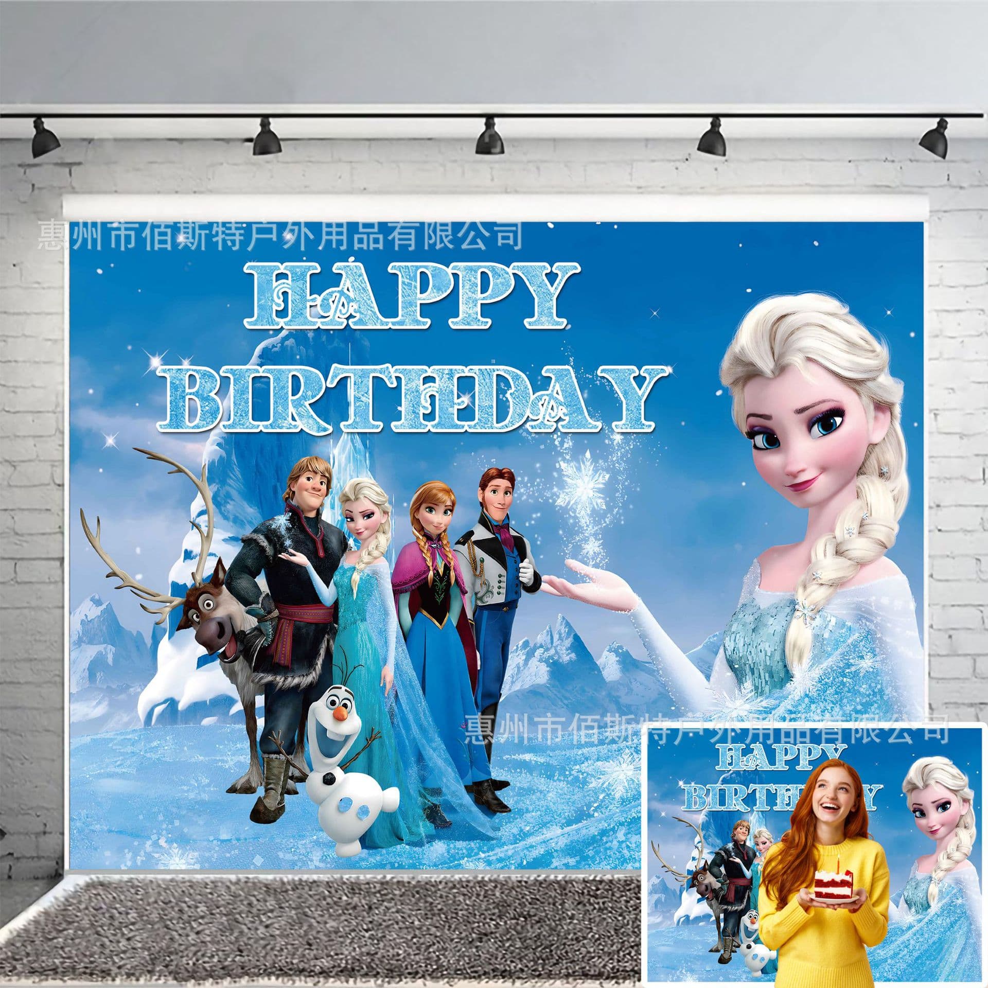 Frozen Anna Elsa Princess Birthday Background Decoration Vinyl Cloth Party Backdrop for Kids Girls