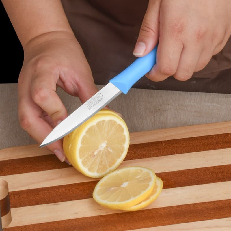 Nordic Stainless Steel Portable Home Steak Knife, Plastic Handle Stainless Steel Pointed Fruit Knife and Peeler