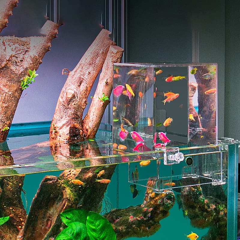 Negative Pressure Fish Tank, Negative Pressure Tank Bracket, Creative Fish Tank, Suspended Fish Tank, Aquarium