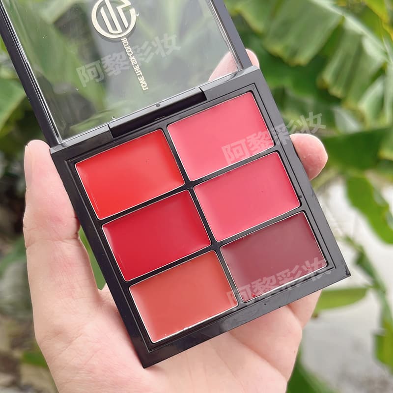 Makeup Artist Recommended Lipstick Multi-Color Matte Lipstick Brightening and Enhancing Complexion Six-Color Lip Palette for Studio and Stage Performance