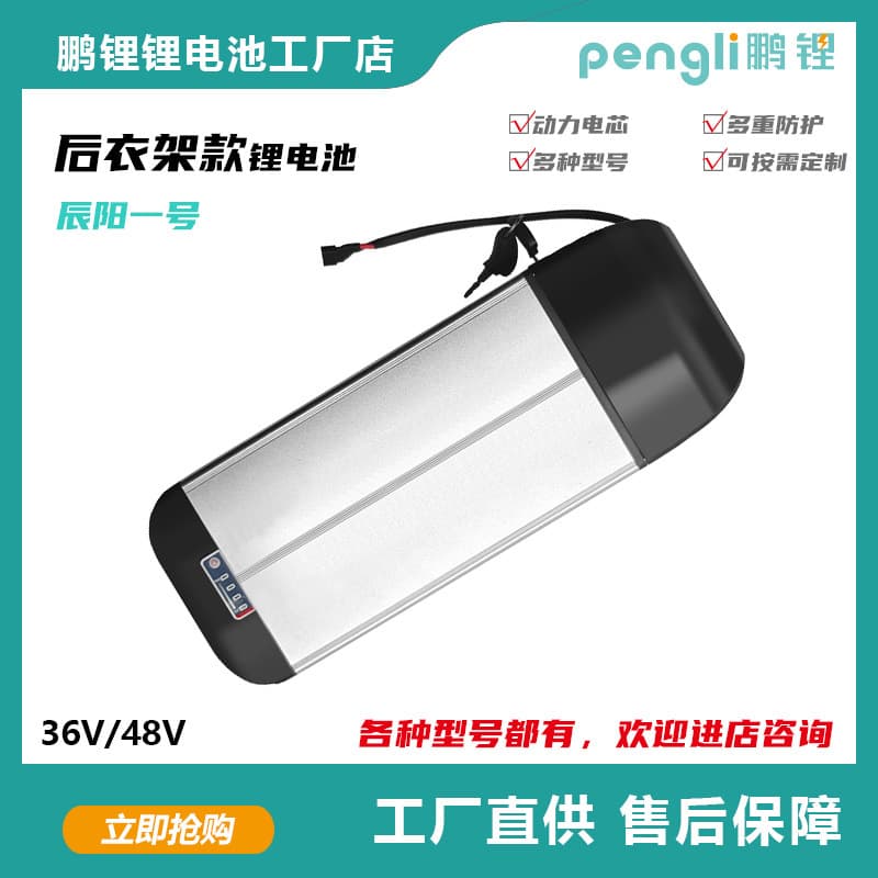 Chenyang 1 Rear Rack Lithium Battery 36V 48V E-bike Battery Cross-border Supply E-bike Battery