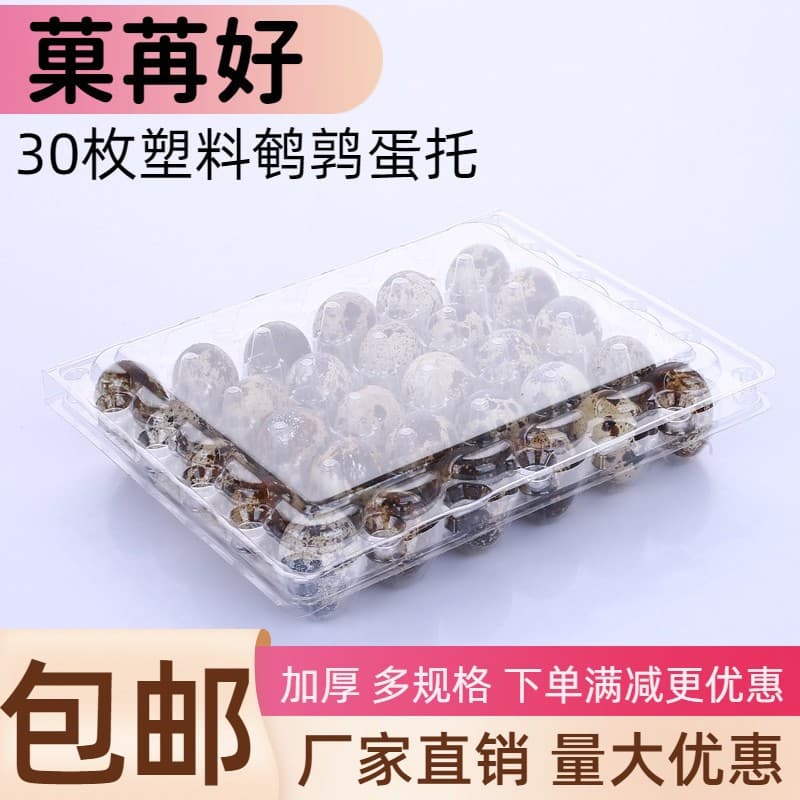 Quail Egg Tray 20/24/30 Count Transparent Plastic Box Disposable Quail Egg Packaging Box