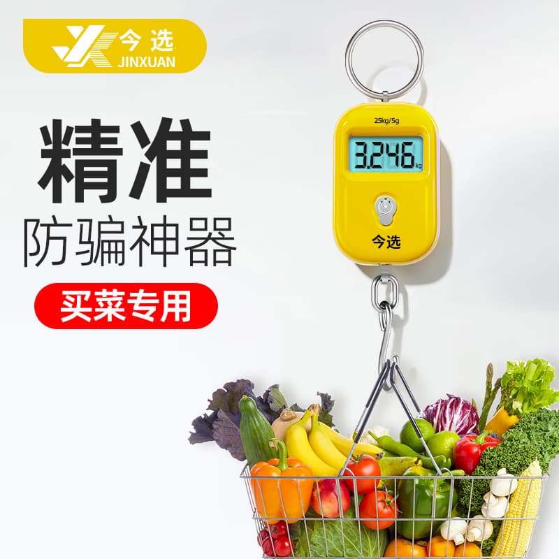 Accurate Mini Handheld Electronic Scale, High Precision Small Portable Hanging Scale, Spring Scale for Household Hook Scale, Pocket Small Scale