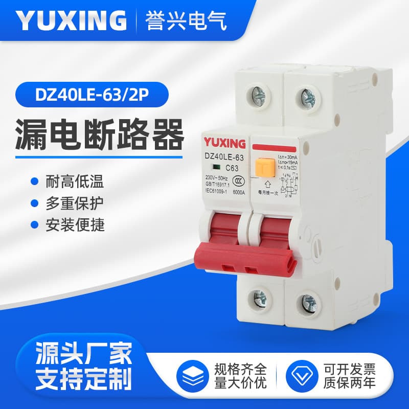 DZ40LE-63 2P Residual Current Circuit Breaker Miniature Household Leakage Protection Air Switch