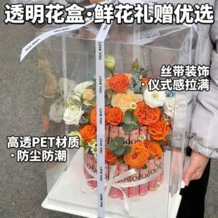 Transparent Flower Packaging Box Ins Flower Fruit Snack Gift Packaging Box Valentine's Day DIY Transparent Flower Box
