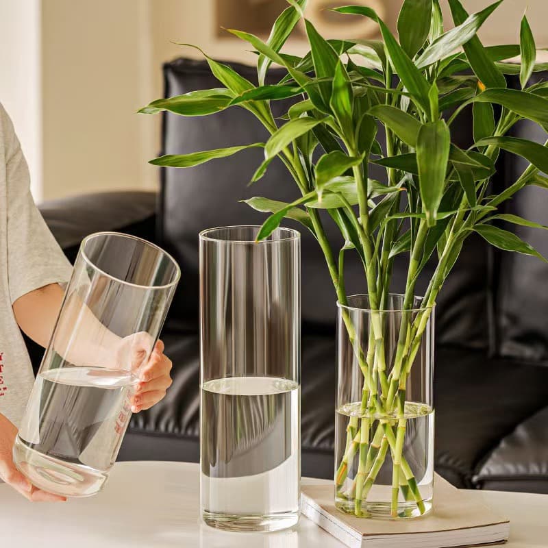 Hydroponic Plant Vase High Borosilicate Glass Tube Flower Pot Insert Flower Vase Moss Landscape Bottle Straight Glass Vase