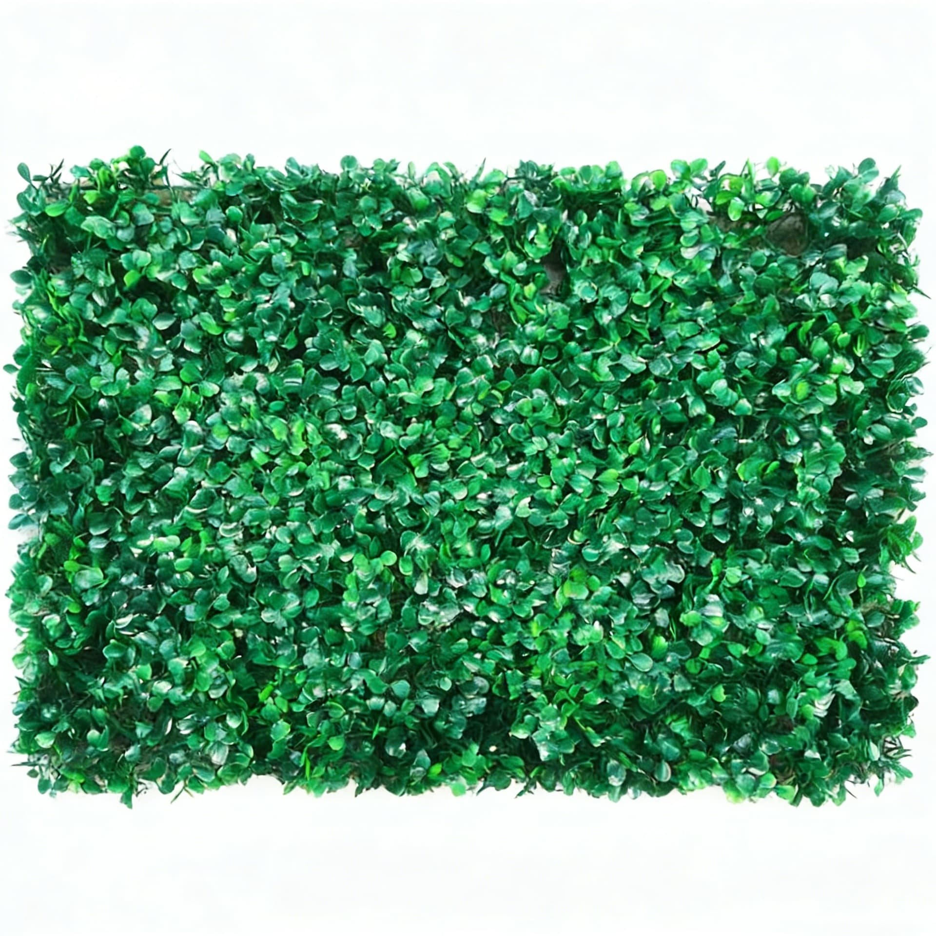 Storefront Wall-Mounted Backdrop Artificial Greenery Plant Wall Eucalyptus Lawn Shop Milan Decorative Turf Green Plant Wall