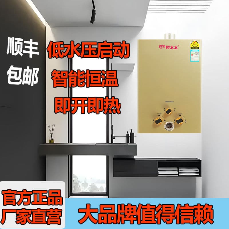 Gas Water Heater LPG Battery Gas Cylinder Natural Gas Strong Exhaust Low Water Pressure Constant Temperature, Manufacturer