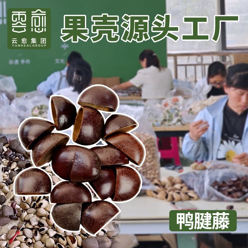 Duck tendon vine fruit shell wind chime hand bell raw material DIY material wholesale factory barbell sound bundle pendant fruit