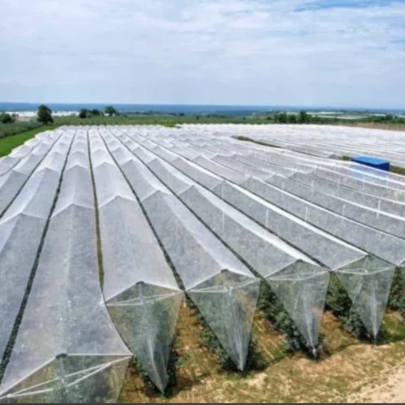 Yihaomei Brand Cross-border Supply Double-line Polyethylene Woven Net Black Hail Net for Orchard Anti-hail