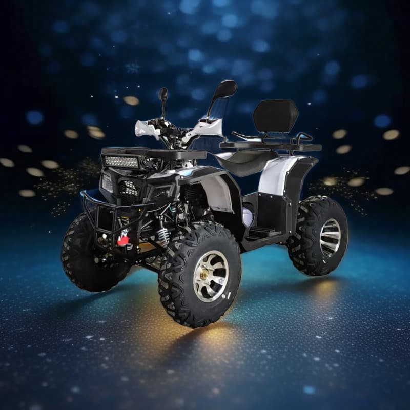 New Beach Buggy 200CC Automatic All-Terrain Off-Road Motorcycle Rear-Wheel Drive GY6 Dachi Beach Buggy