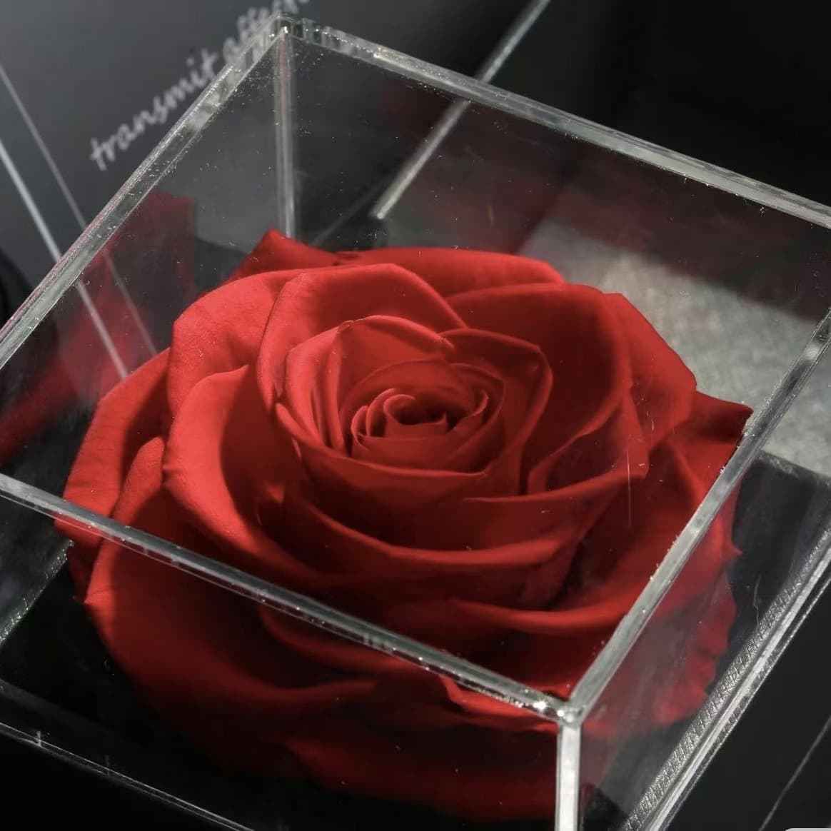 Single Rose Eternal Flower Acrylic Jewelry Box for Valentine's Day Christmas Gift Ornament Set