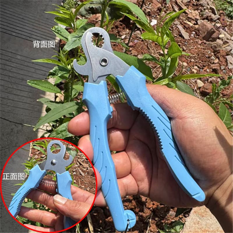 Household Snail Scissors with Notched Tip, Specialized for Stir-Fried Snails, Seafood Shellfish Clam Scissors, Forged Snail Pliers