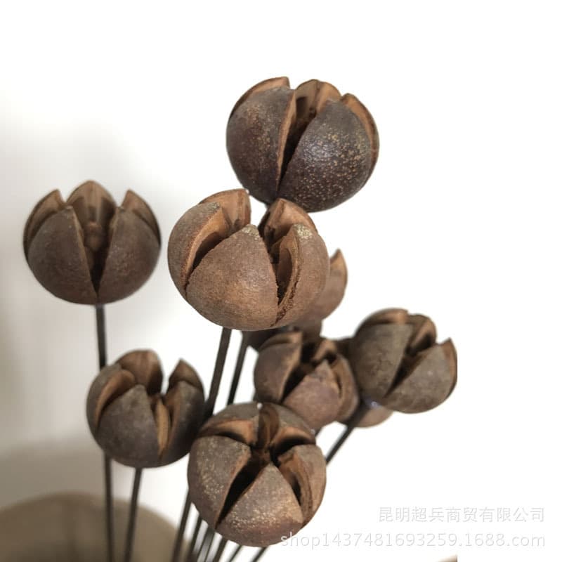 Combination dried flower bouquet large pistachio cross