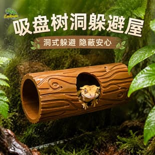 Cross-border Trade Wooden Lizard Suction Cup Decoration Reptile Supplies Crested Gecko Leopard Gecko Giant Gecko Hiding