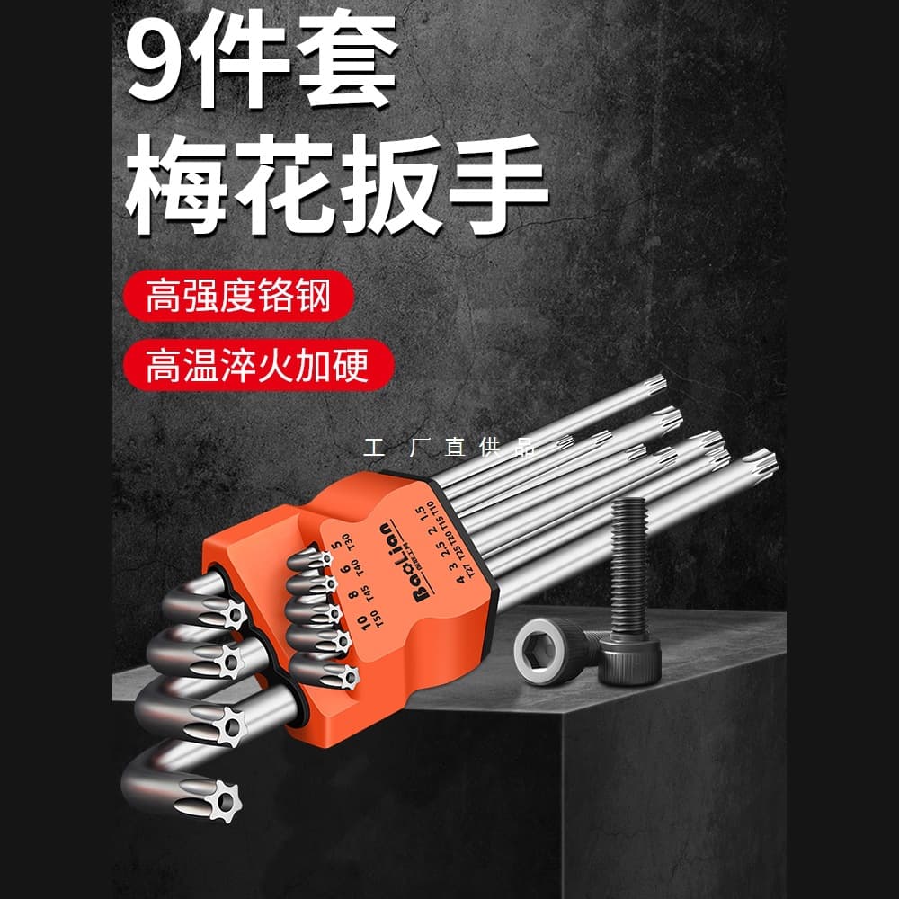 Hex Key and Torx Screwdriver Combination Set with Extended Wrenches and Hexagonal Bits