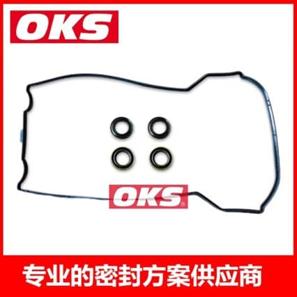 Valve Cover Gasket Set 1110100430 899.917 56032900 for Mercedes-Benz W202 W124