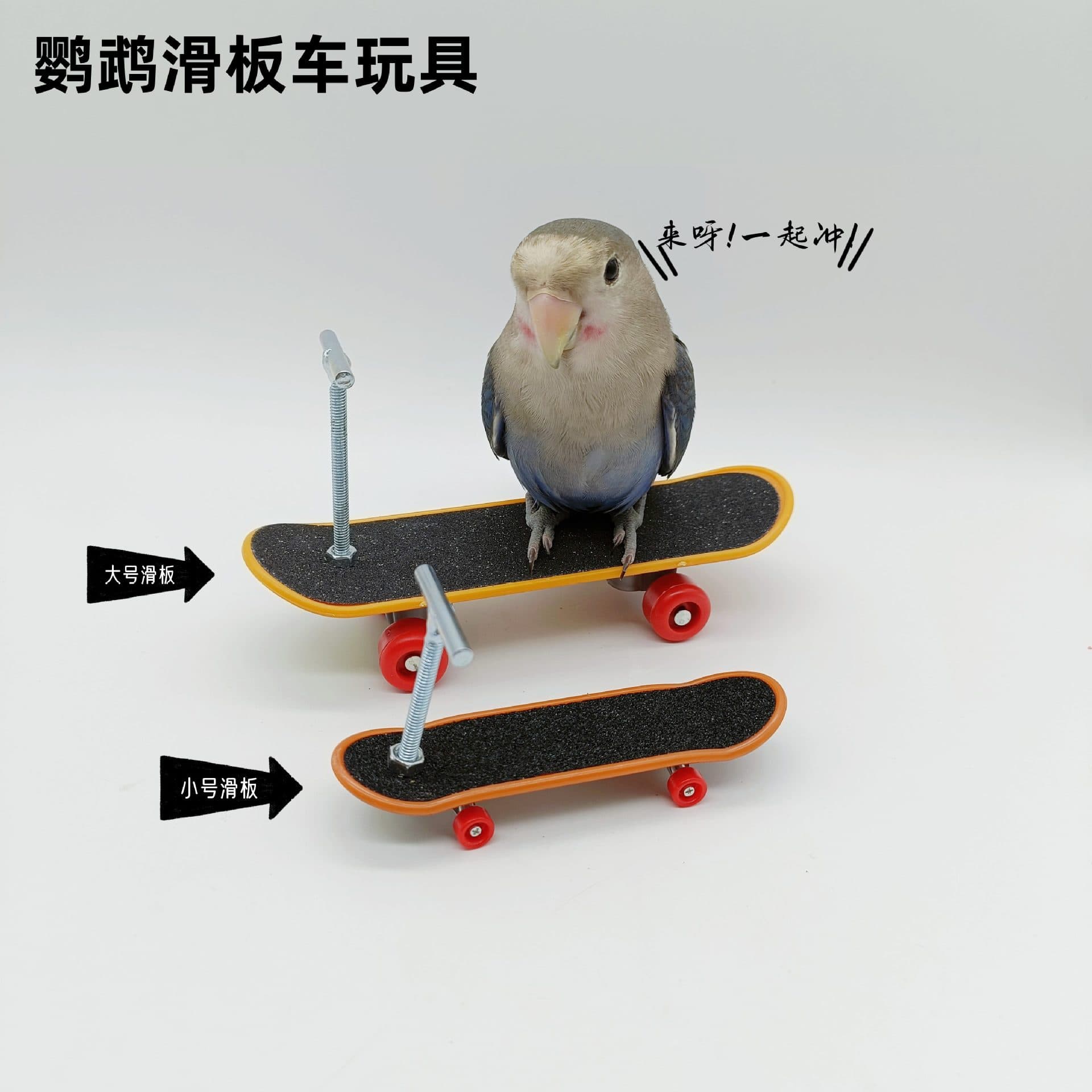 Parrot Toy Training Prop Intelligence Toy Parrot Scooter Upgraded Alloy Stand Professional Finger Skateboard
