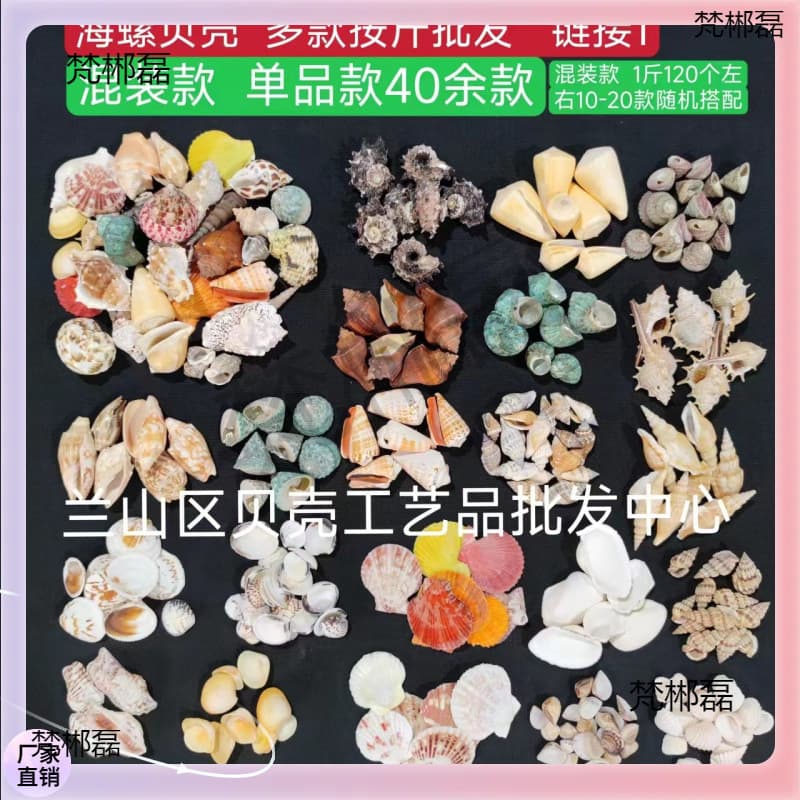 ✞ Shells Fish Tank Landscaping 40+ Styles Wholesale by Weight Colorful Small White Shells Aquarium Decor Mediterranean Style
