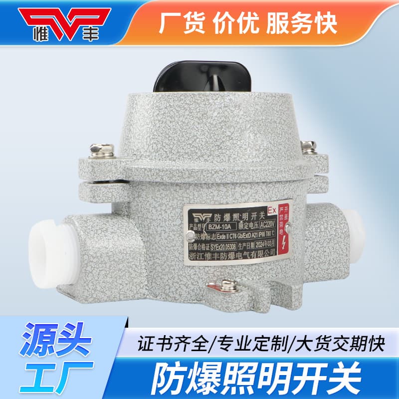Explosion Proof Lighting Switch Sw-10 Waterproof Seal 220V 380V Wall Socket Switch 10A16A Control Button