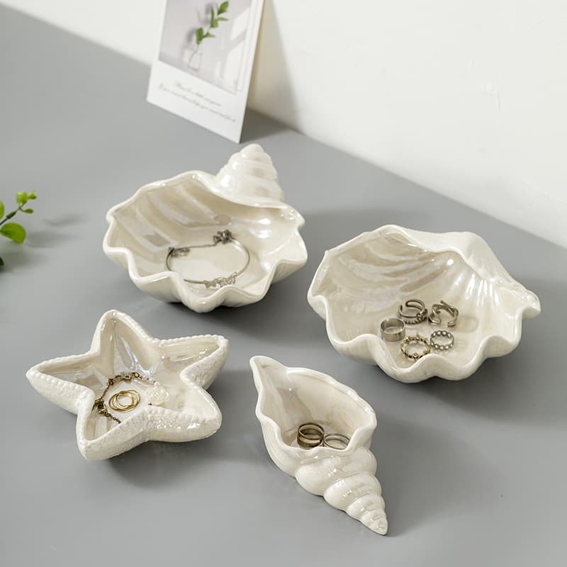 Cross-border Ins-style White Shell Conch Small Dish Storage Plate Jewelry Dish Photography Background Decorative Ornament